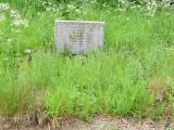 image of grave number 719669